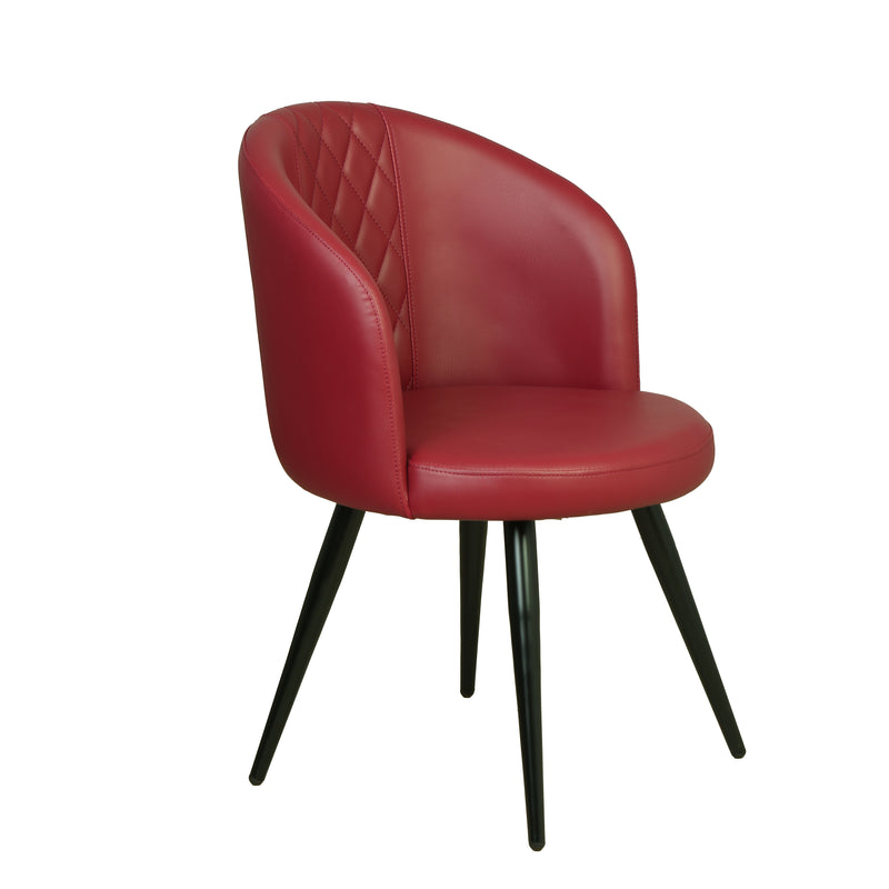 ZDY-ABH16-Dining Chair-4