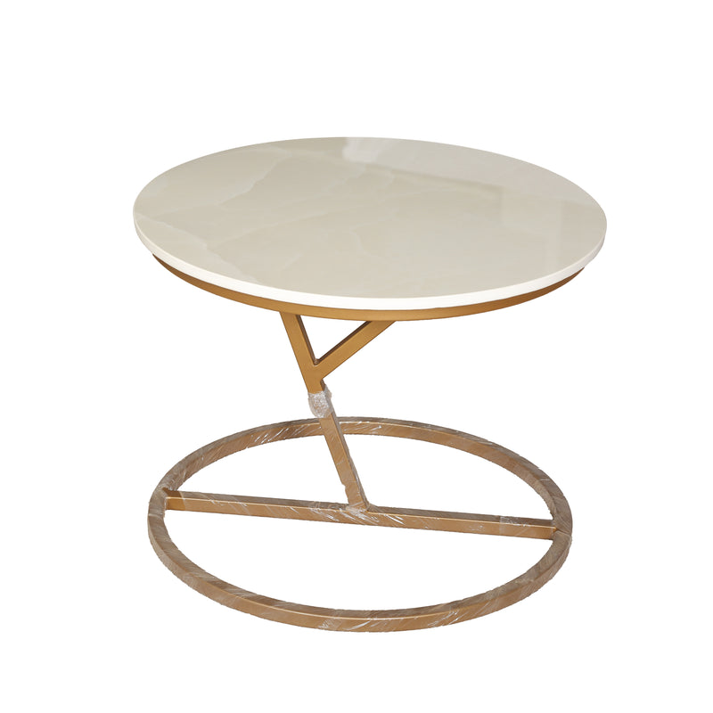 ZDY-ARI-ATP 43 Coffee Table-19553-3
