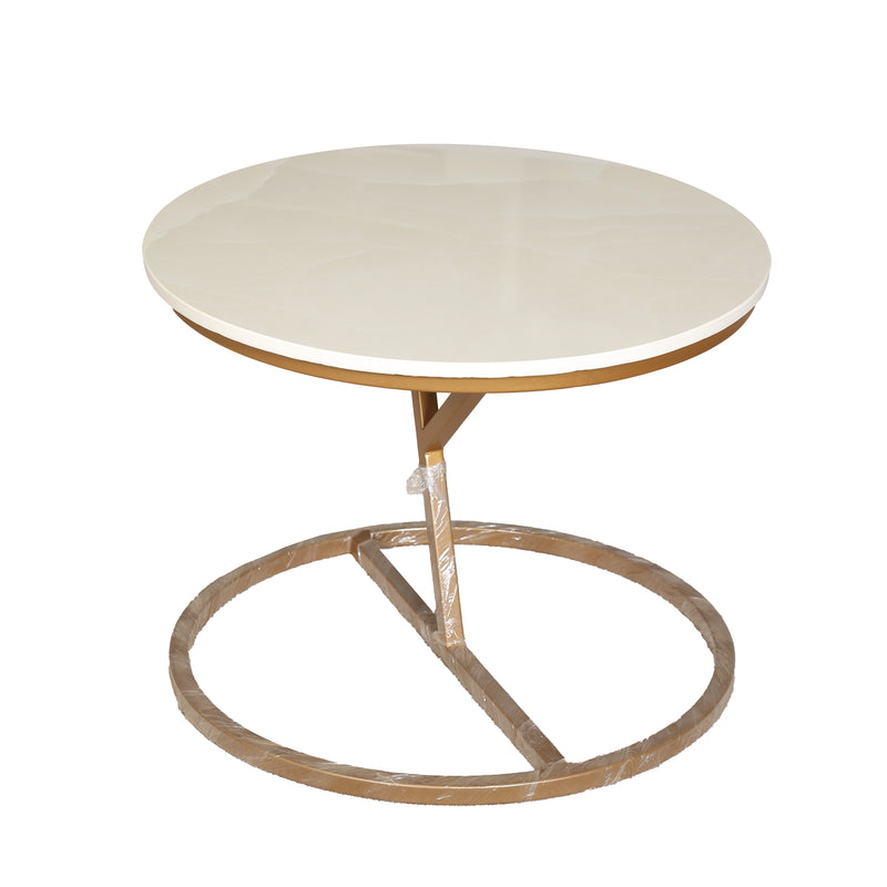 ZDY-ARI-ATP 43 Coffee Table-19553-4
