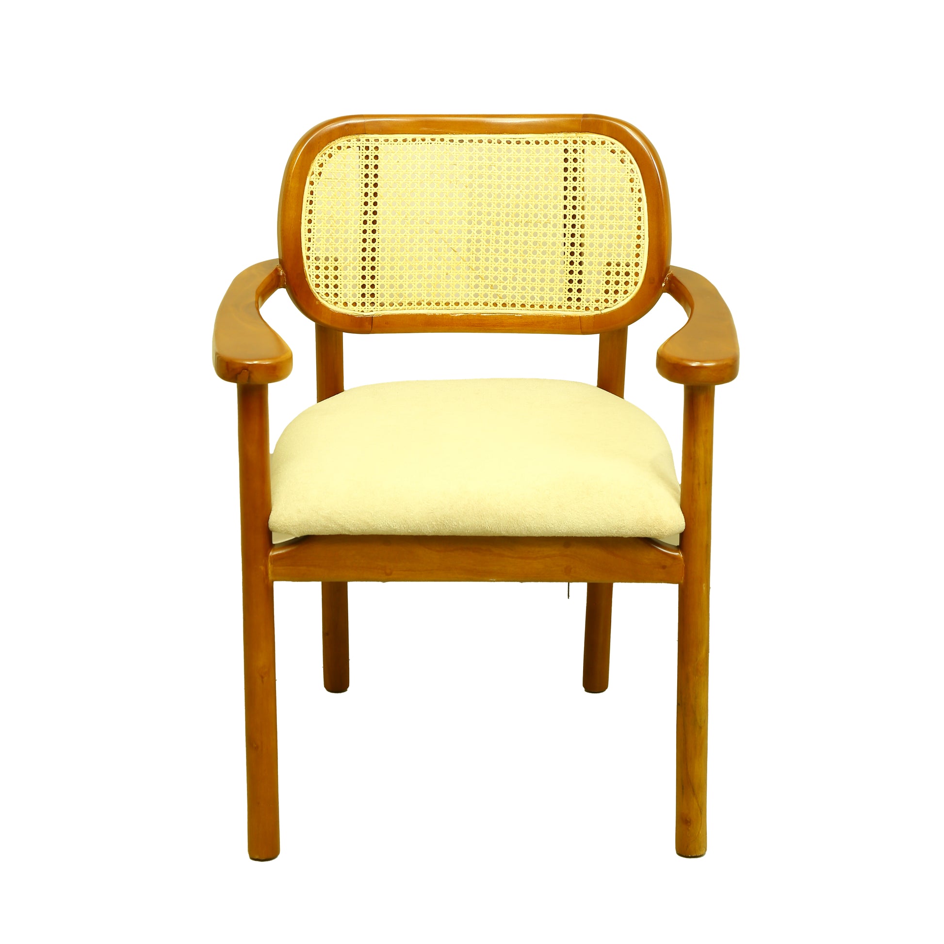ZDY-PLP-Bloom Arm Chair-18085-7