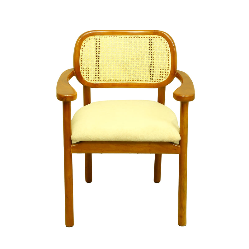 ZDY-PLP-Bloom Arm Chair-18085-7