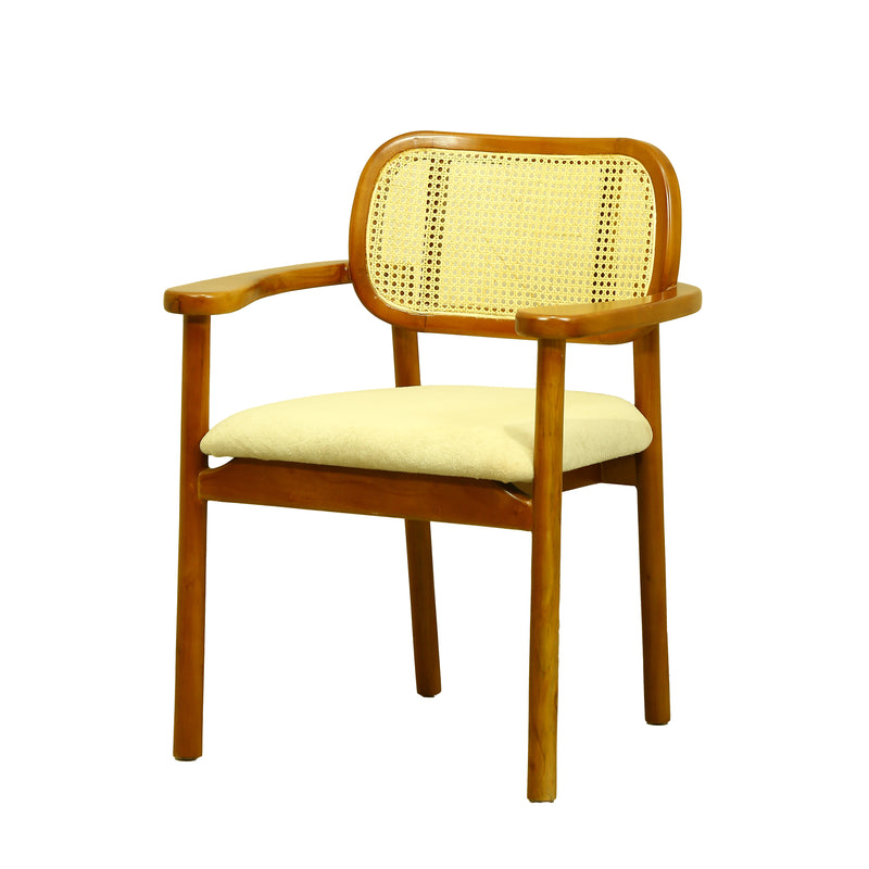 ZDY-PLP-Bloom Arm Chair-18085-3