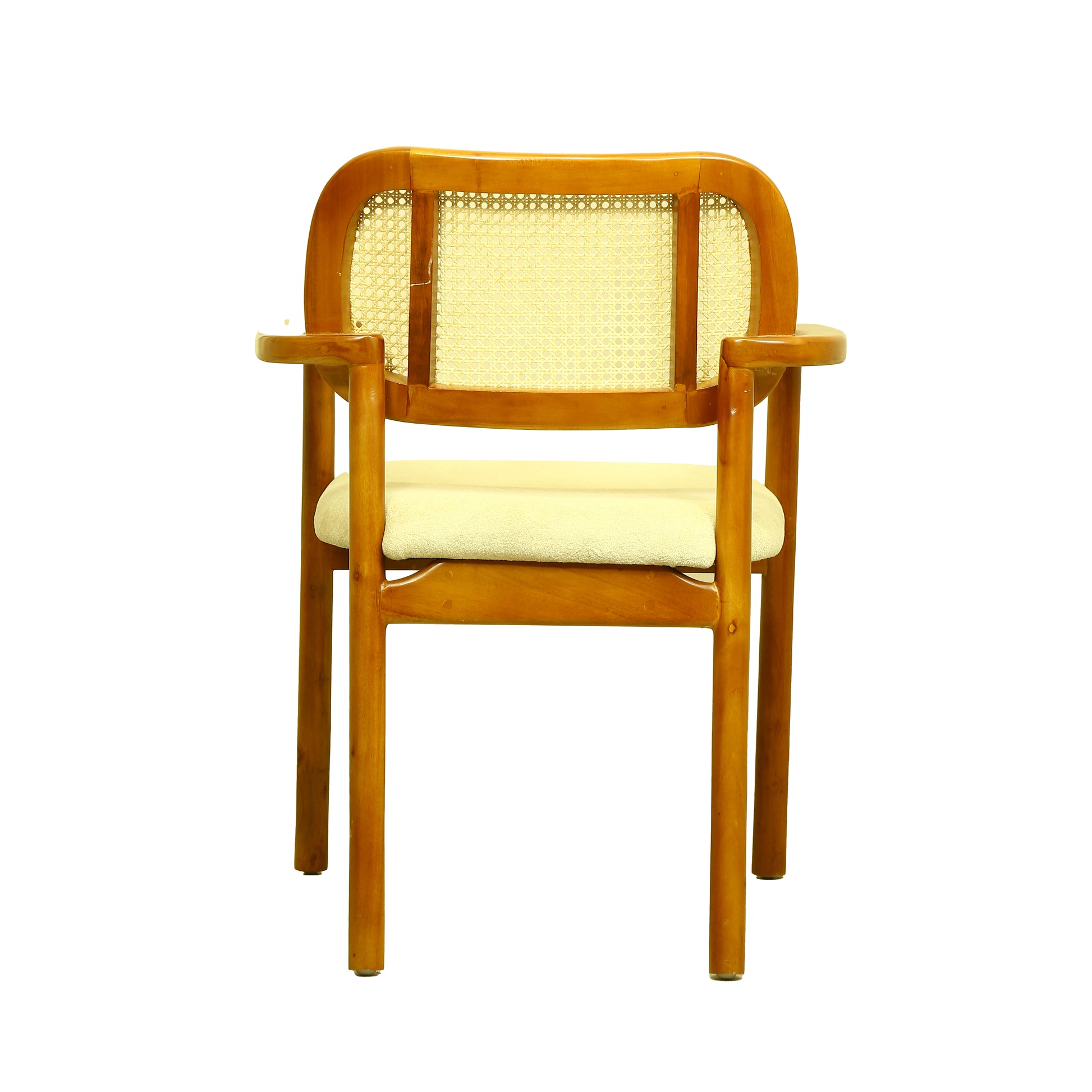 ZDY-PLP-Bloom Arm Chair-18085-5