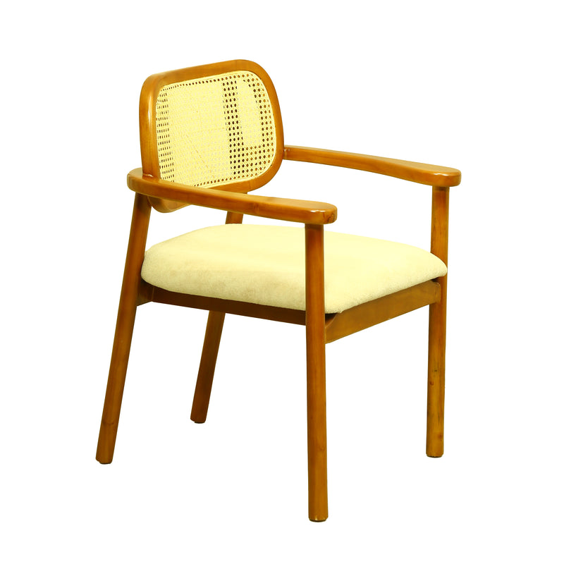 ZDY-PLP-Bloom Arm Chair-18085-6