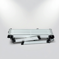 Small Metallic Ladder by Zodiya