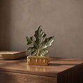 Green & Gold Ceramic Maple Leaf Decor by Zodiya