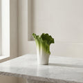 Green & White Ceramic Flower Vase by Zodiya