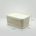 Plastic Storage Box By Zodiya