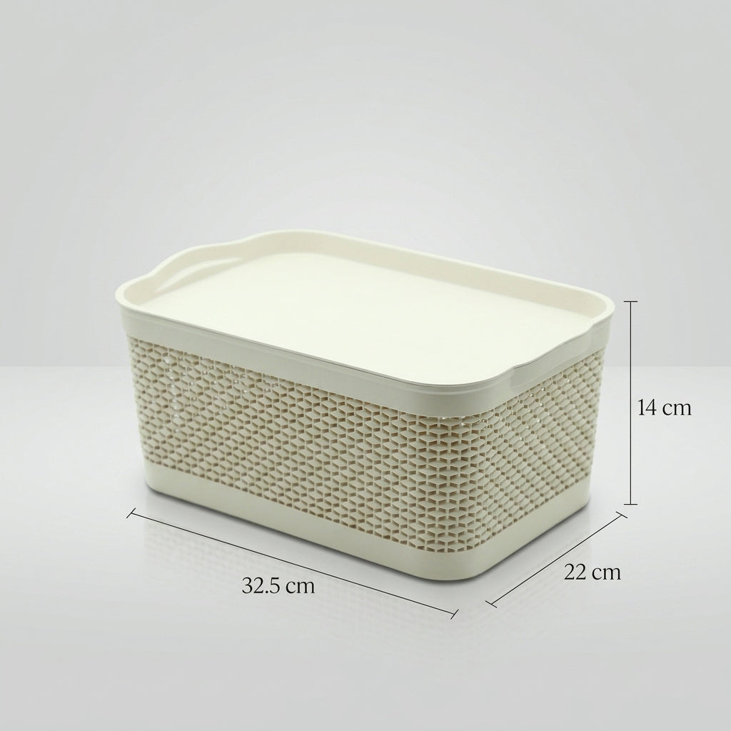 Plastic Storage Box By Zodiya