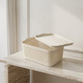 Plastic Storage Box By Zodiya