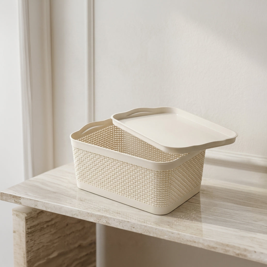 Plastic Storage Box By Zodiya