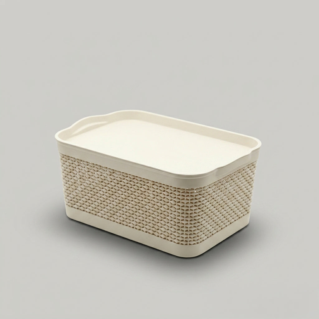 Plastic Storage Box By Zodiya
