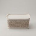 Plastic Storage Box By Zodiya