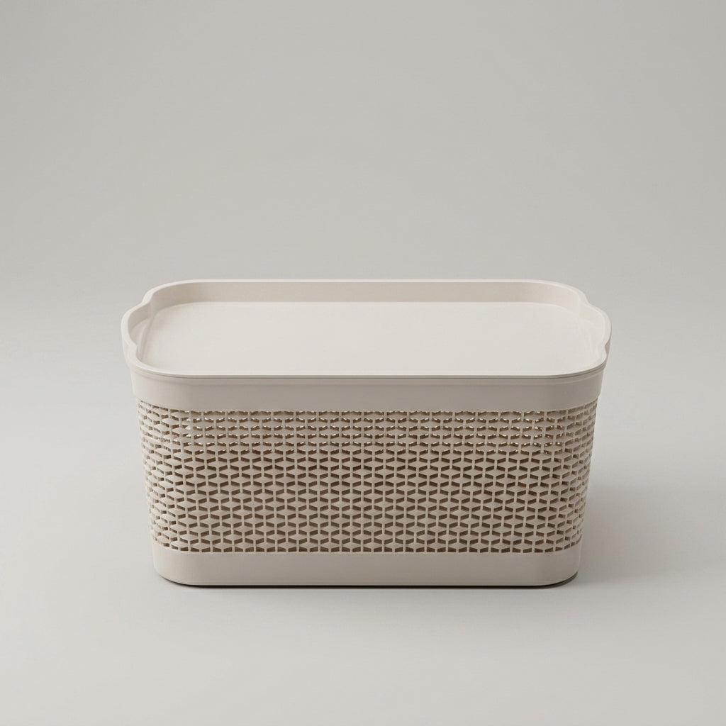 Plastic Storage Box By Zodiya