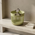 Green Plastic Laundry Basket By Zodiya