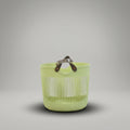 Green Plastic Laundry Basket By Zodiya