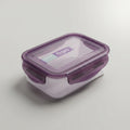 Small Plastic Food Storage Box By Zodiya