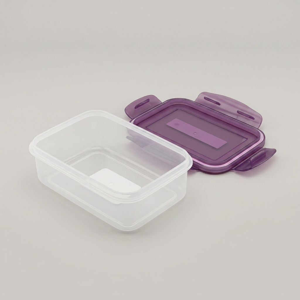 Small Plastic Food Storage Box By Zodiya
