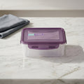 Food Storage Box By Zodiya