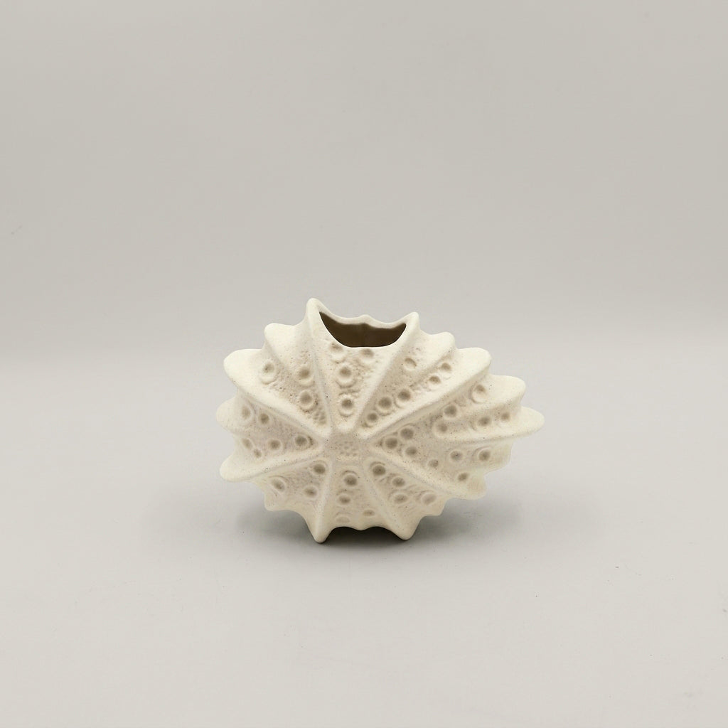 Sea Urchin Shell Flower Vase by Zodiya