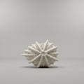 Sea Urchin Shell Flower Vase by Zodiya