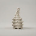 Spiral Shell Flower Vase by Zodiya