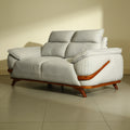 Modexa Light Grey Leather 2 Seater Sofa with Pillow Arms by Zodiya