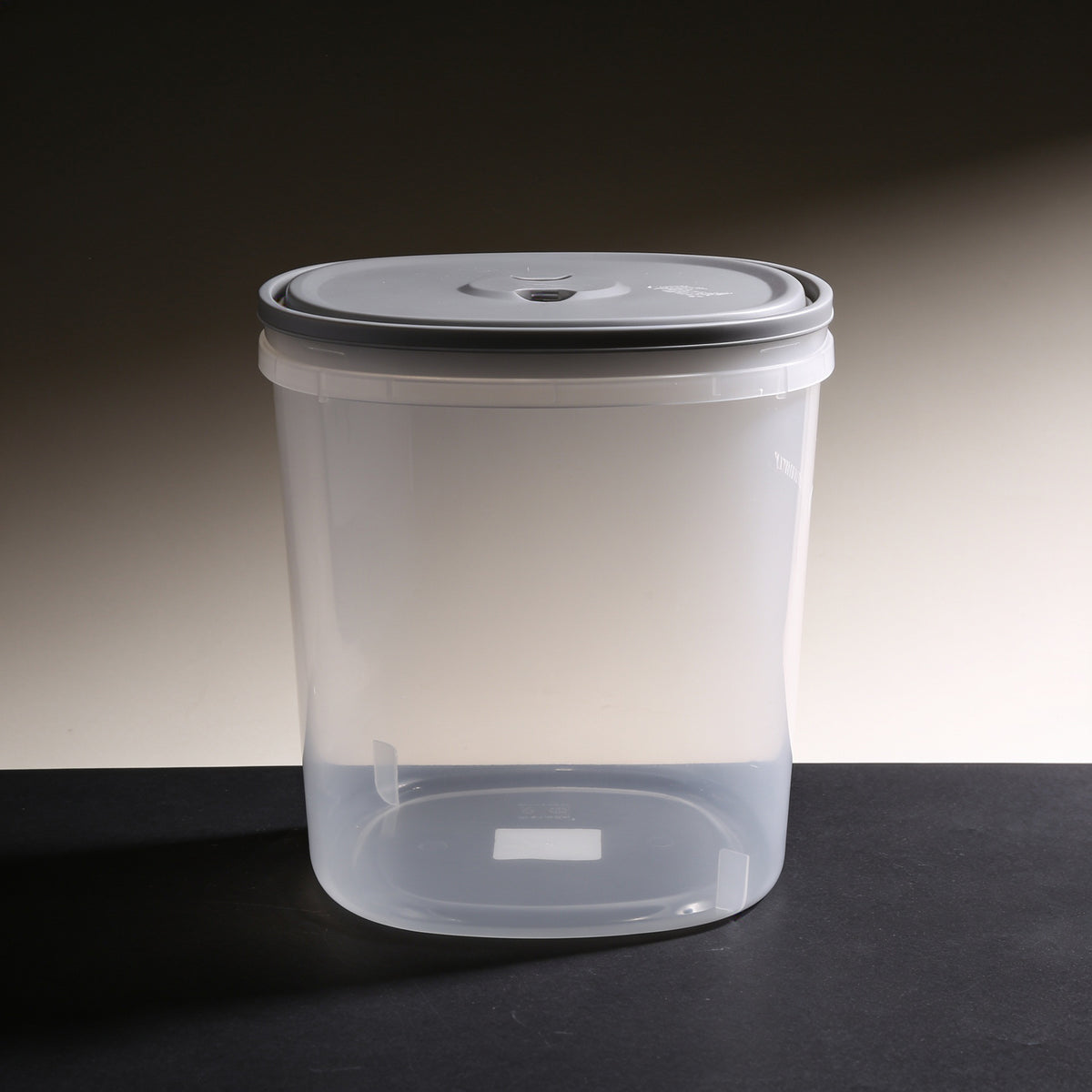 Grain Storage Container Box with Grey Lid by Zodiya
