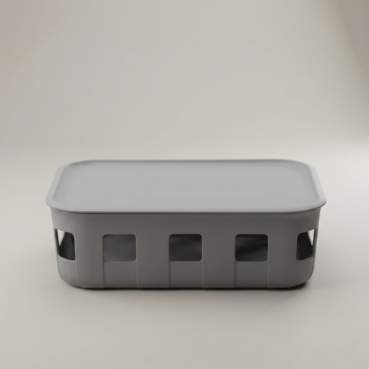 Grey Plastic Multipurpose Storage Box with Lid by Zodiya