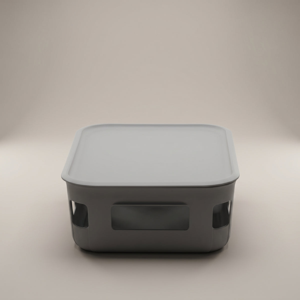 Grey Plastic Multipurpose Storage Box with Lid by Zodiya