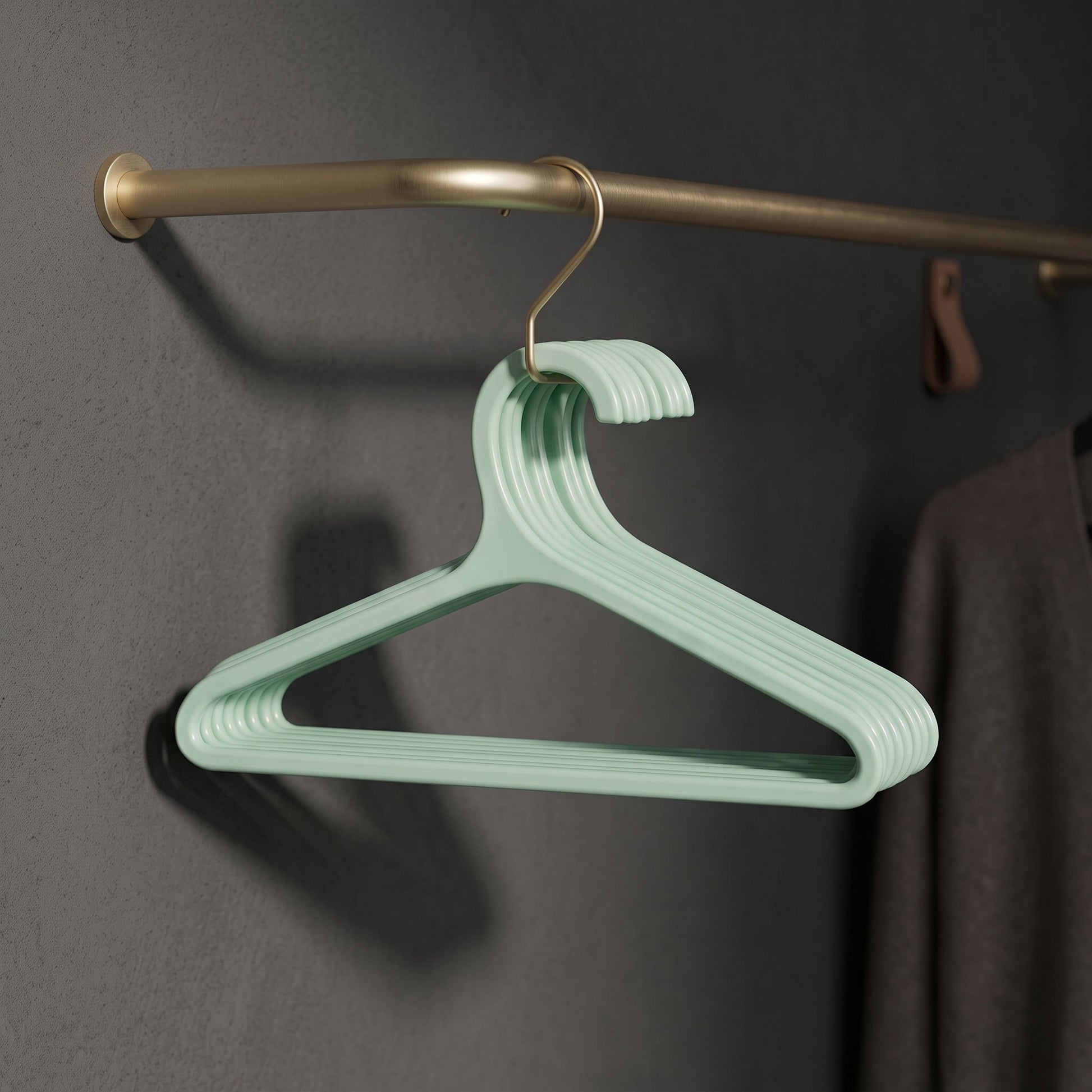 Plastic Cloth Hanger By Zodiya-11