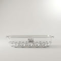 Clear Plastic Egg Storage Box with Lid by Zodiya