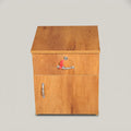 Wooden Bedside with Drawer and Storage By Zodiya