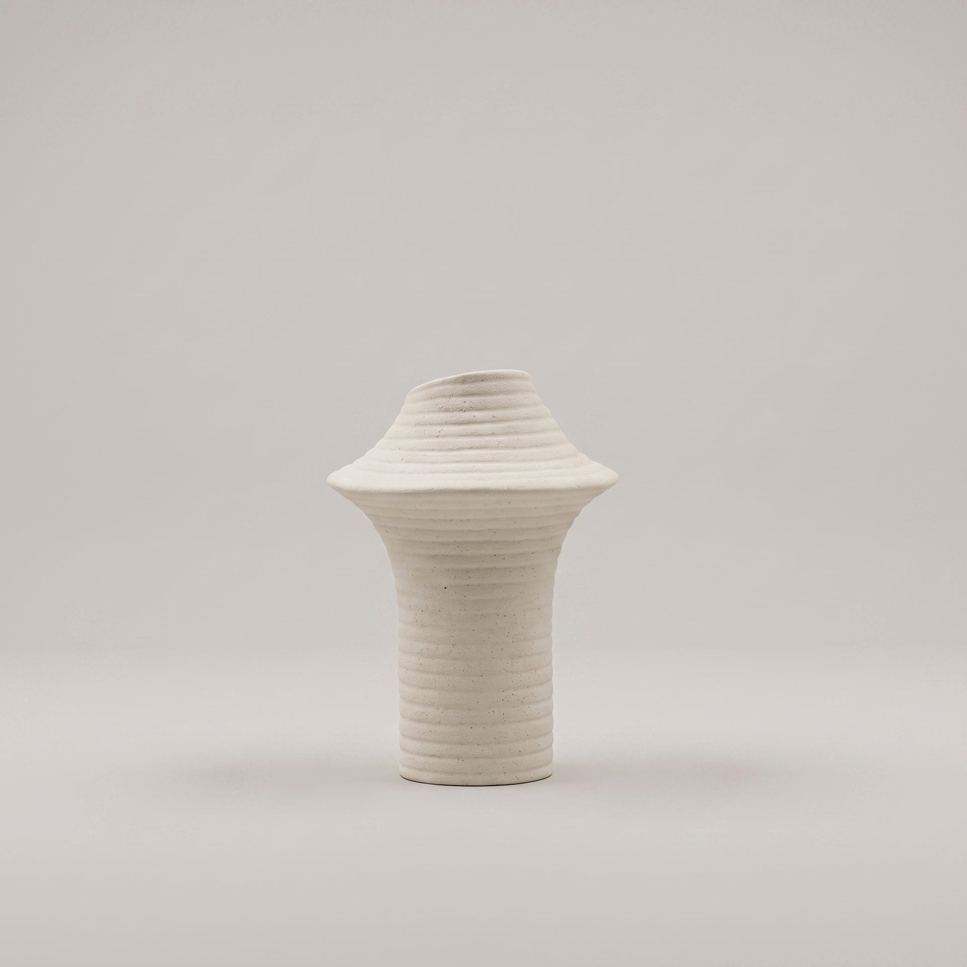 White Rim Flower Vase by Zodiya-4