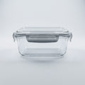 Glass Food Container Box By Zodiya