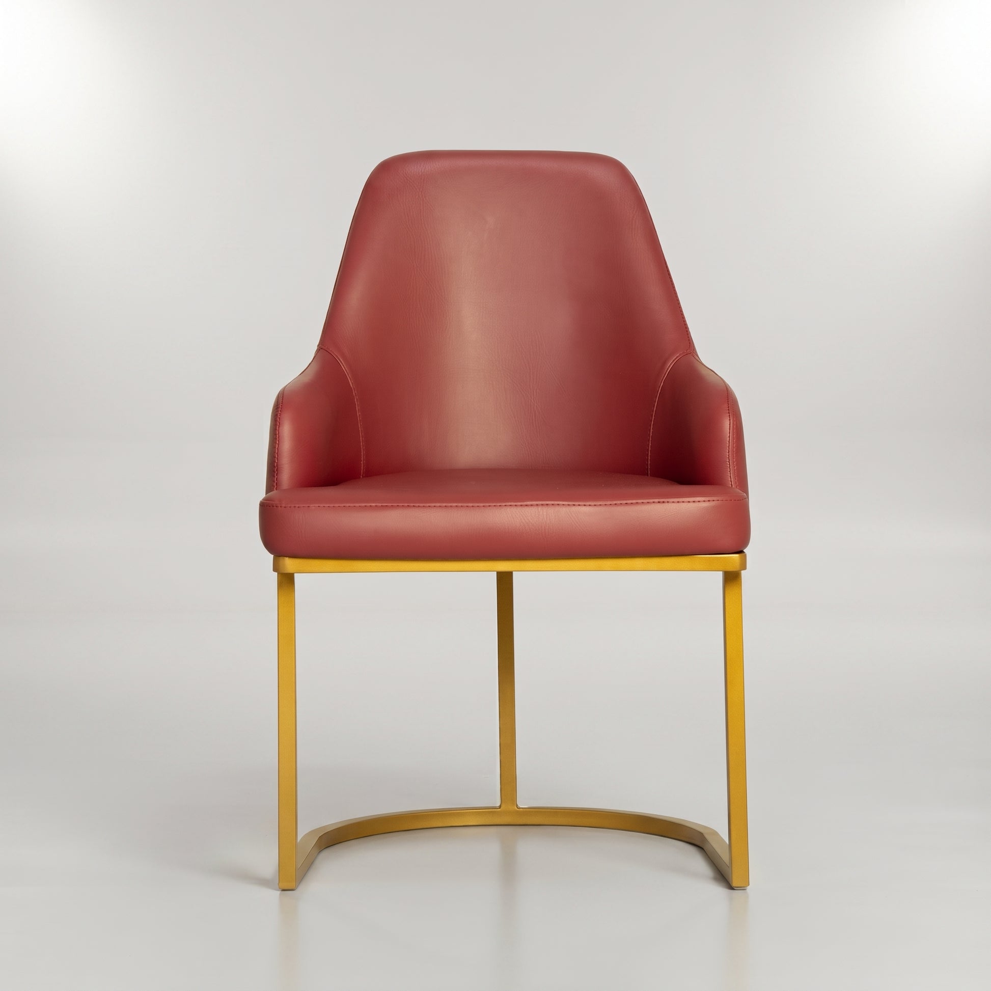 Rust Red Leather Dining Arm Chair with Gold Metal Frame by Zodiya-3