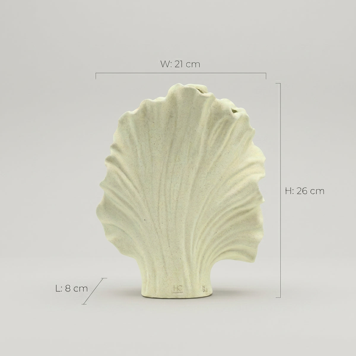Off-White Ceramic Shell Shaped Vase by Zodiya