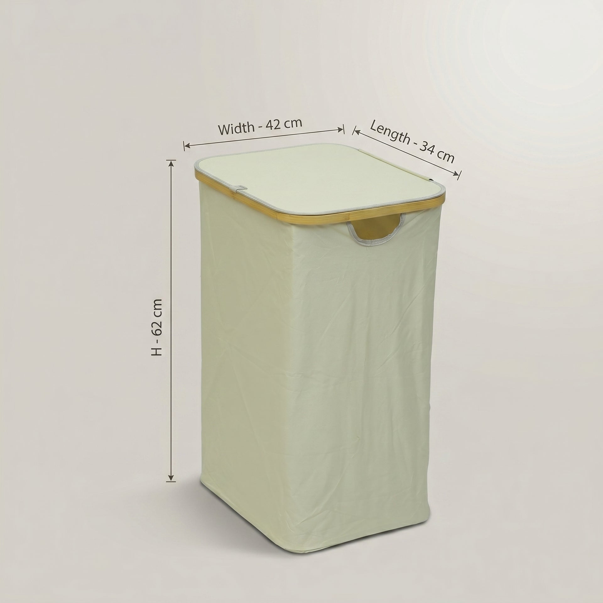 Plastic Laundry Basket With Lid By Zodiya