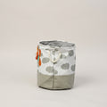 Multicolor Fabric Laundry Bag By Zodiya