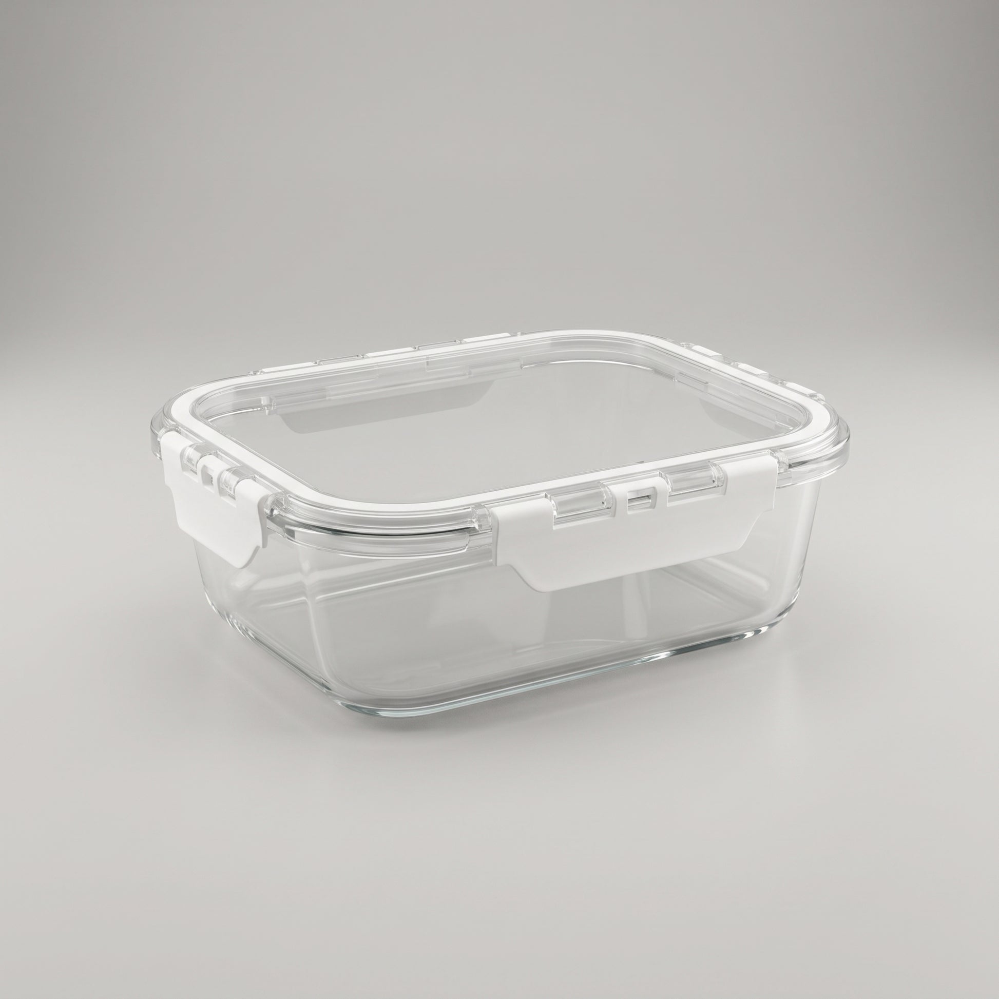 Clear Plastic Egg Storage Box by Zodiya-5