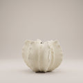White Ruffled Cactus Ceramic Vase By Zodiya