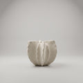 Off-white Cactus Ceramic Vase (small) By Zodiya