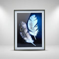 Wall Frame (Blue Feather Art) By Zodiya
