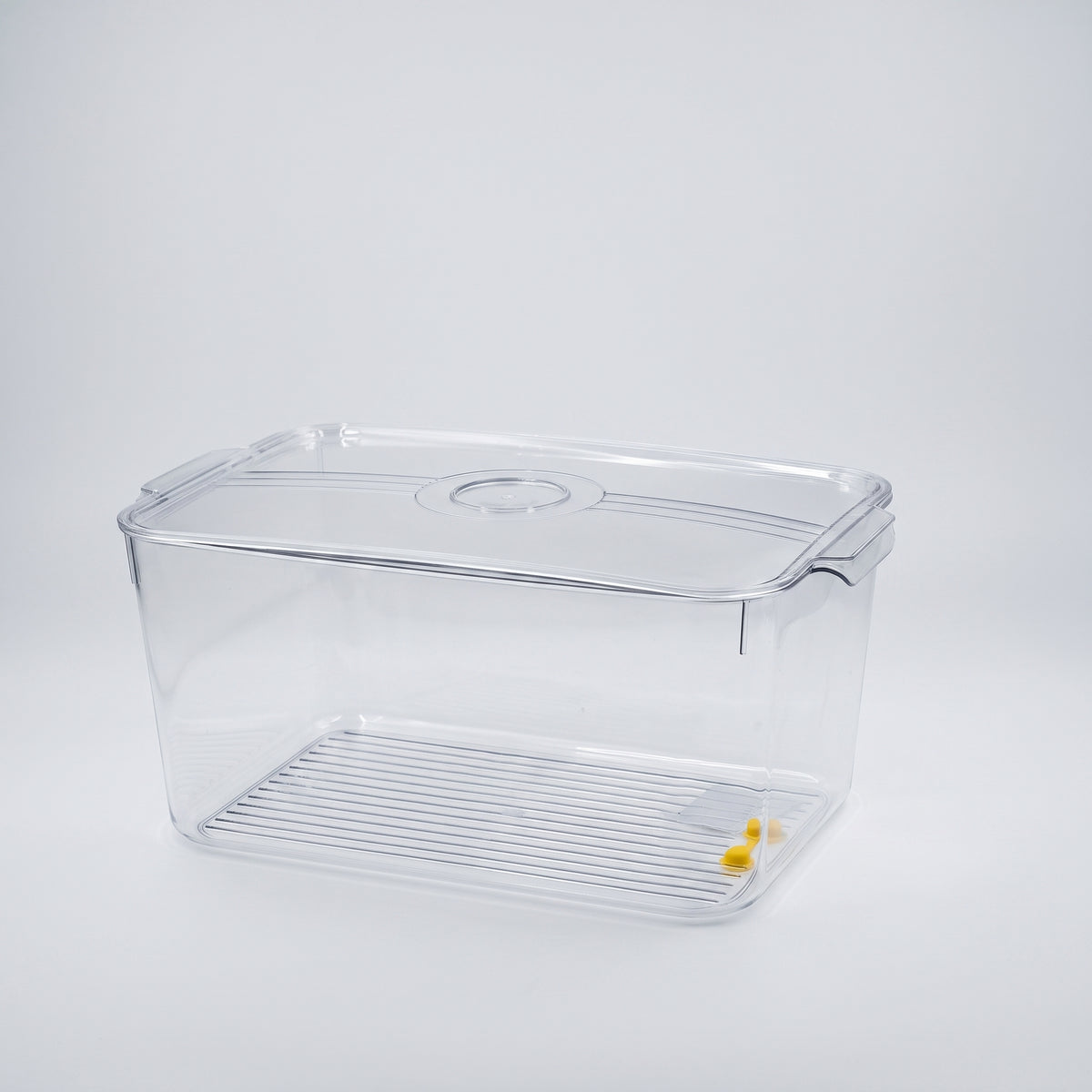 Plastic Refrigerator Storage Box By Zodiya