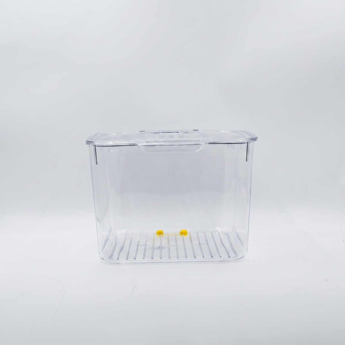 Plastic Refrigerator Storage Box By Zodiya