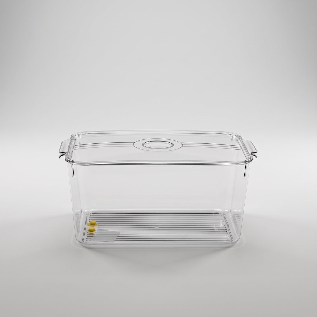 Plastic Refrigerator Storage Box By Zodiya