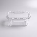 Glass Food Container Box By Zodiya