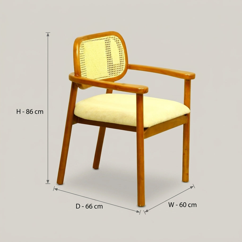 Bloom Wooden Rattan Dining Arm Chair by Zodiya