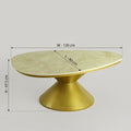 Oval Marble Coffee Table with Gold Pedestal Base by Zodiya