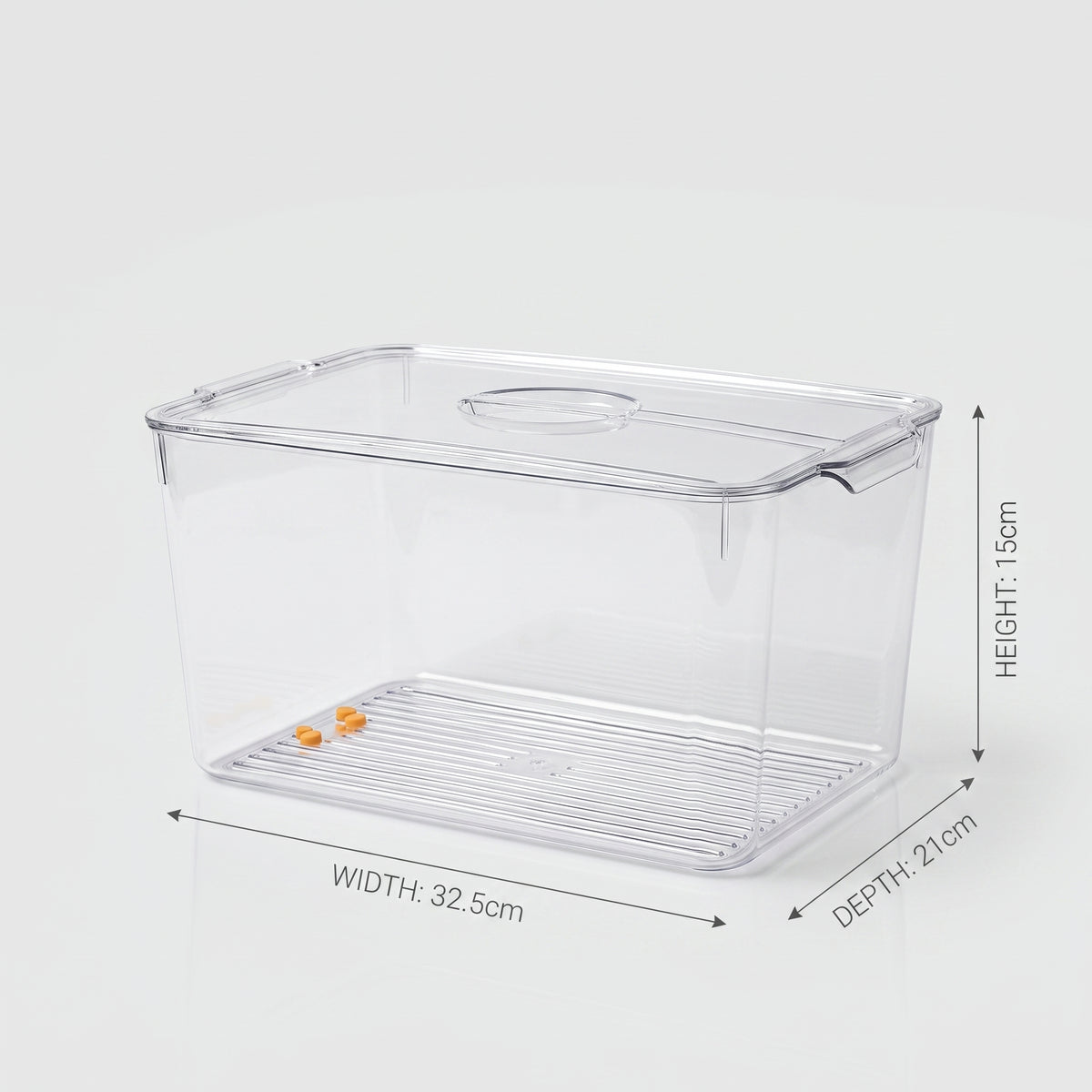 Plastic Refrigerator Storage Box By Zodiya